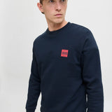 Sweatshirt Logo