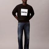 LS PREMIUM FLEECE CALVIN BOX GRA