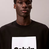 LS PREMIUM FLEECE CALVIN BOX GRA