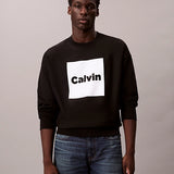 LS PREMIUM FLEECE CALVIN BOX GRA