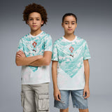 Camisola Seleção Nacional Away Portugal Repli Youth