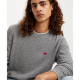 Levis Sweat Original HM