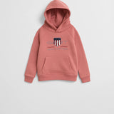 Sweatshirt Gant com capuz Archive Shield